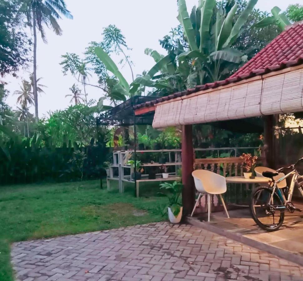Al-Shifa Healing House Lombok Ξενοδοχείο Νησιά Γκίλι Εξωτερικό φωτογραφία
