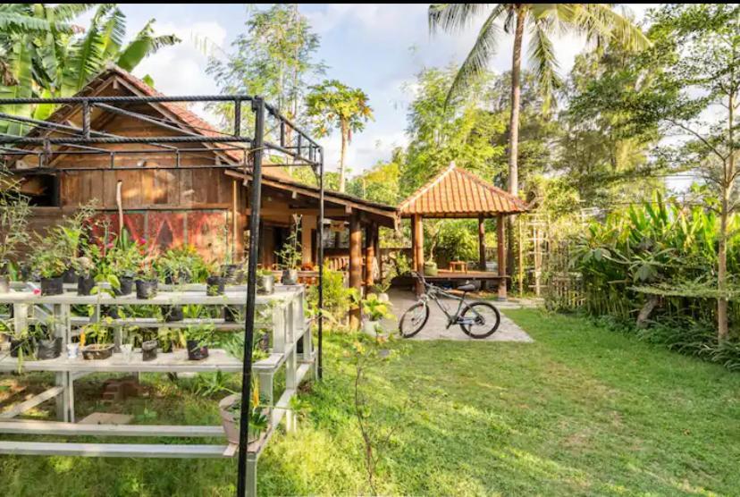 Al-Shifa Healing House Lombok Ξενοδοχείο Νησιά Γκίλι Εξωτερικό φωτογραφία